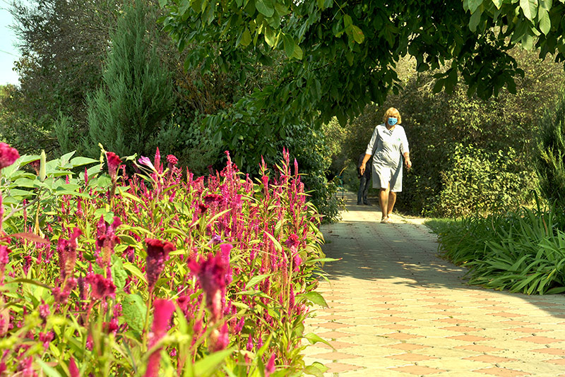 Будинок для літніх психічно хворих людей Запоріжжя