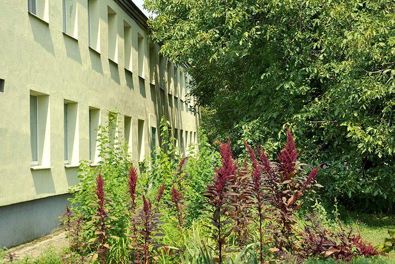 догляд за людьми похилого психічно хворими людьми Запоріжжя