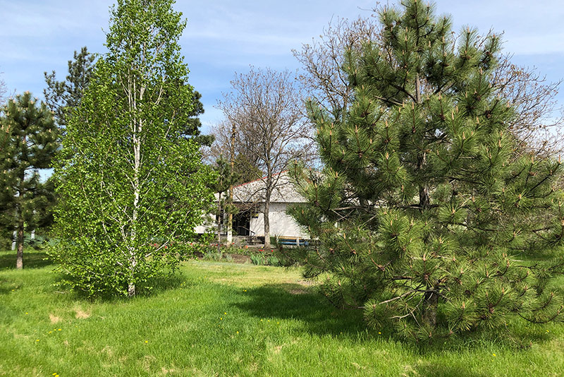 догляд за людьми похилого психічно хворими людьми Запоріжжя