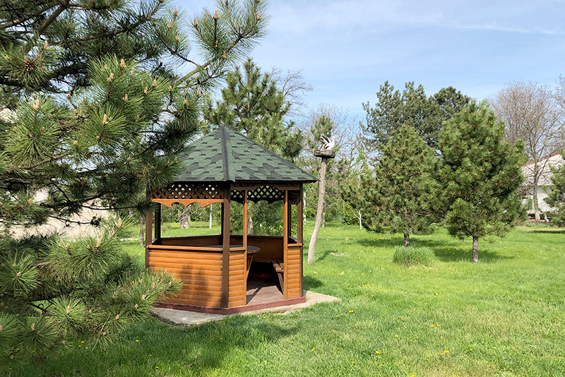 догляд за людьми похилого психічно хворими людьми Запоріжжя