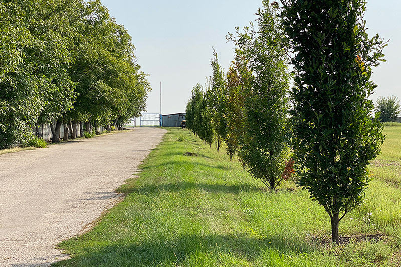 Будинок для літніх психічно хворих людей Запоріжжя