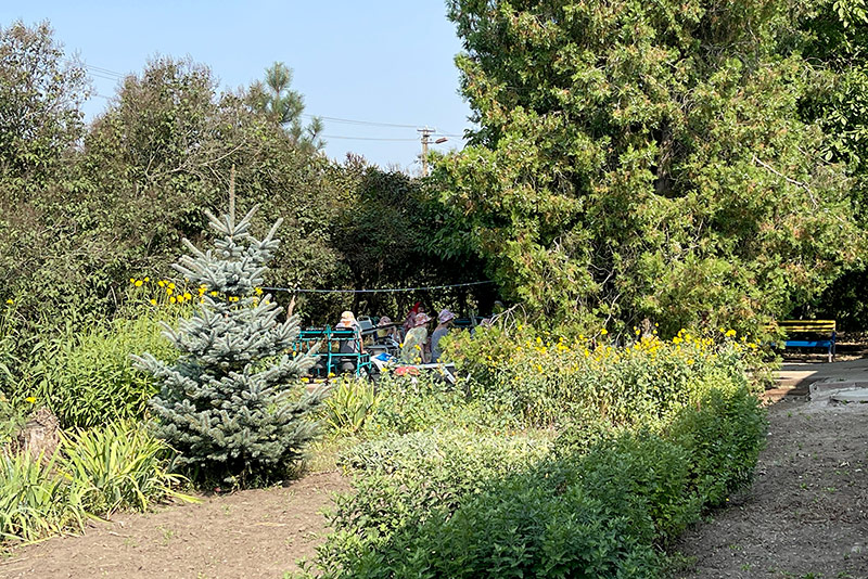 Догляд за психічно хворими людьми Запоріжжя